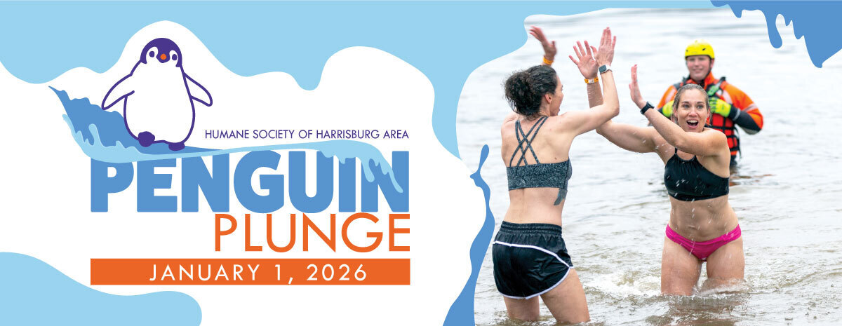 Penguin Plunge 2026